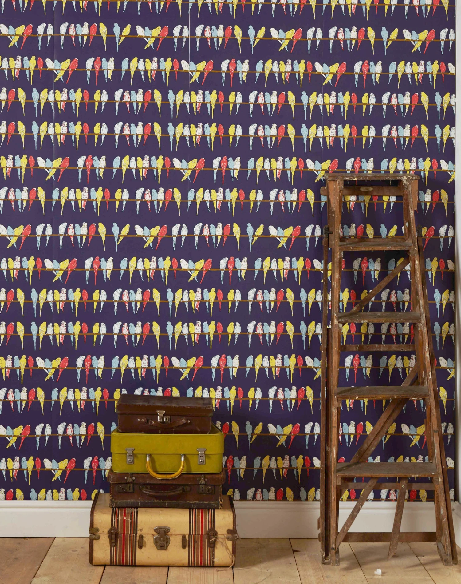 Wallpaper - Navy Budgies 2 Wallpaper - Navy Budgies - Image 2