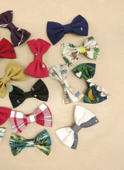 Lucky Dip! - Bow Clip -Palava Sale Store LuckyBow Hairclip 2