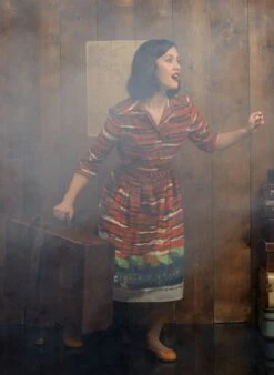 Cynthia Dress - Rust Flying Scotsman -Palava Sale Store cynthia rust train shirt dress 5