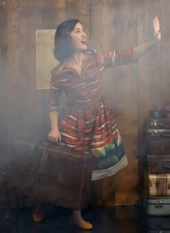 Cynthia Dress - Rust Flying Scotsman -Palava Sale Store cynthia rust train shirt dress 6