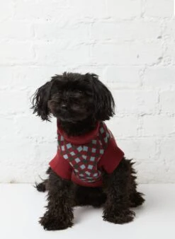 Rodney Dog Jumper - Burgundy Check -Palava Sale Store rodney 4